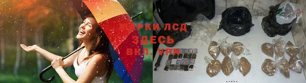 mdpv Армянск
